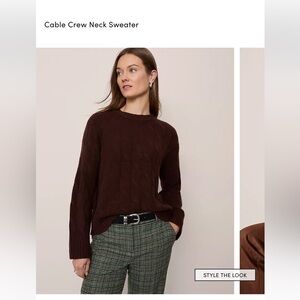 NWOT Ann Taylor Pure Chocolate Cable crew Neck Sweater M